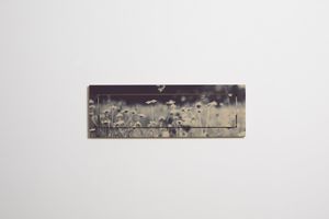 Fläpps Shelf 80x27-1 - Wild and Free - Ingrid Beddoes - Cabinet by Ambivalenz