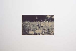 Fläpps Secretary 80x50-1 - Wild and Free - Ingrid Beddoes - Desk by Ambivalenz