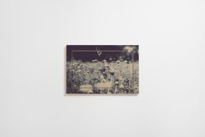 Fläpps Shelf 60x40-1 - Wild and Free - Ingrid Beddoes - Cabinet by Ambivalenz