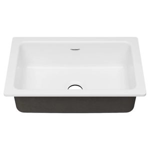 Delancey 30 x 19-Inch Cast Iron Undermount Single-Bowl Kitchen Sink - Toilet seat by American Standard