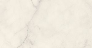 Bianca Classic Marble - Synthetic Floor by Amtico