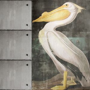 Darwin – Standard TNT – L450xH270 cm - Wallpaper by Adriani e Rossi edizioni
