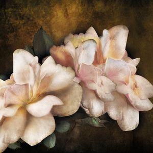 Big flowers_1 - Wallpaper by Adriani e Rossi edizioni