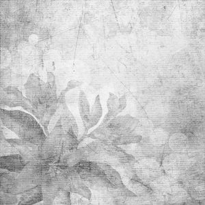 Intona_2 - Wallpaper by Adriani e Rossi edizioni