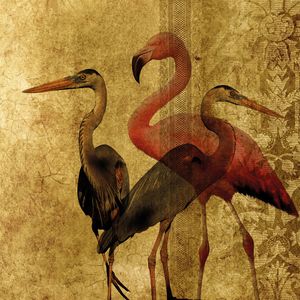 Camargue_gold - Wallpaper by Adriani e Rossi edizioni