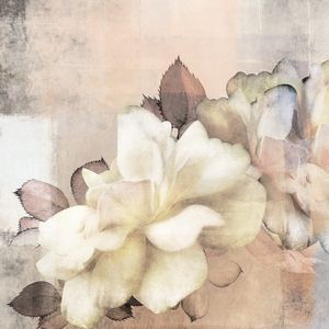 Big flowers_3 - Wallpaper by Adriani e Rossi edizioni