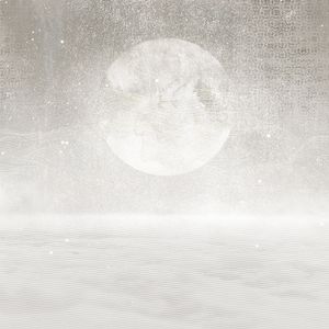 Plumetis Moon - Wallpaper by Adriani e Rossi edizioni