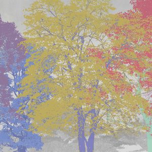 Color Trees - Wallpaper by Adriani e Rossi edizioni