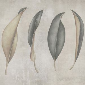 Leafy - Wallpaper by Adriani e Rossi edizioni