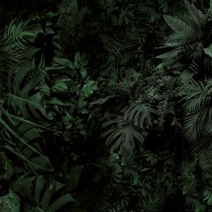Dark Green - Wallpaper by Adriani e Rossi edizioni