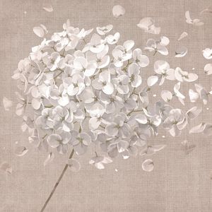Breath Flower Sand - Wallpaper by Adriani e Rossi edizioni