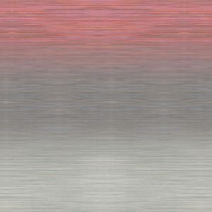 Nuance Grey - Wallpaper by Adriani e Rossi edizioni
