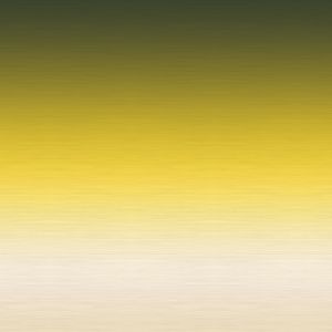 Nuance Yellow - Wallpaper by Adriani e Rossi edizioni