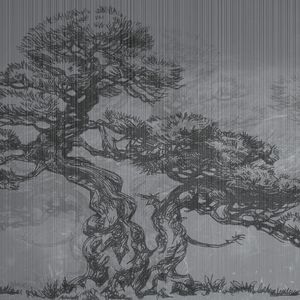 Bonsai - Wallpaper by Adriani e Rossi edizioni