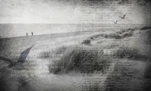 Beach_2 – L.138 H.270 cm - Wallpaper by Adriani e Rossi edizioni
