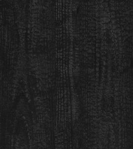 Legno Carbonizzato - Wallpaper by Adriani e Rossi edizioni