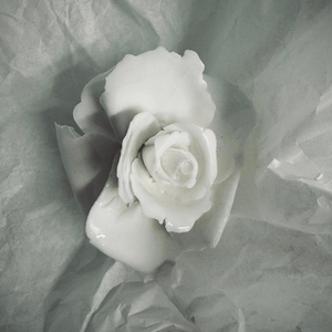 Rose 14 – Large - Accessories by 1882 Ltd