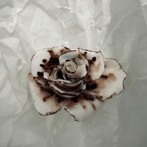 Rose 27 – Small - Accessories by 1882 Ltd