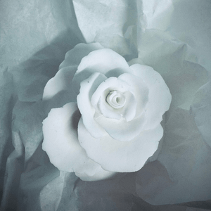 Rose 7 – Large - Accessories by 1882 Ltd