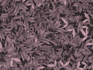 MULTIDADE / Art. Pink - Wallpaper by AGENA