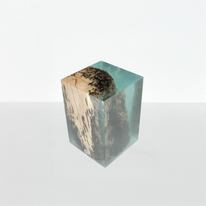 ANCHOR Stool - Stool by Alcarol