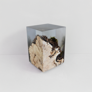 STUMP Side Table - Poplar - Side table by Alcarol