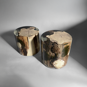 SURFACING STUMP - Stool by Alcarol