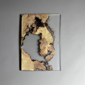 Undergrowth Layer - Wall Art - Styling by Alcarol