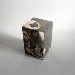 STUMP Stool - Willow - Stool by Alcarol