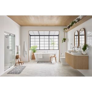 Aspirations Double Robe Hook - Sanitary accessories by American Standard