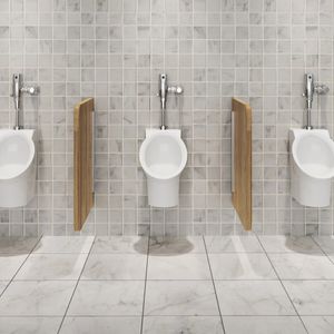 Decorum EverClean Urinal System With Touchless Selectronic Piston Flush Valve, 0.125 gpf/0.5 Lpf - Urinal by American Standard