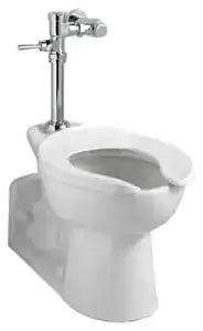 Ultima Manual Toilet Flush Valve, Piston-Type, 1.6 gpf/6.0 Lpf - Toilet seat by American Standard