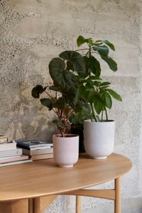 Collect Planters SC70 - Outdoor furniture by &tradition