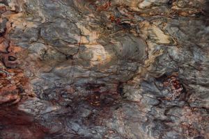 Fusion® Wow Dark - Floor tile-stone by Antolini