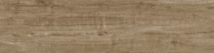 Branch Maple Natural 25X100 - Floor tile-stone by Aparici