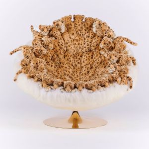 Leo chair - Chair by APcollection srl