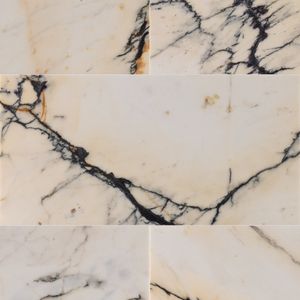 Paonazzo Marble Tile Honed 12" x 24" x 3/8" Stone Micro-Beveled Edge - Floor tile-stone by Artistictile