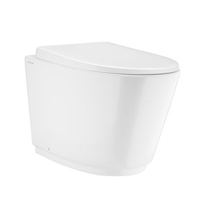 Aura Rimless Back To Wall WC - Toilet seat by Artize