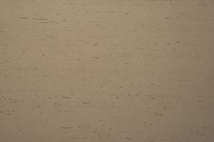 Sillyon - Paneling by Artstone Panel Systems