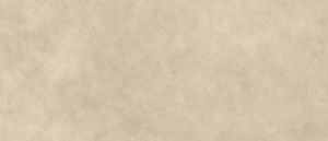 Boost Expression Tan Matte - Wall tile-stone-brick by Atlas Concorde