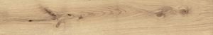 Exence Vanilla Matte Sensitech - Wall tile-stone-brick by Atlas Concorde