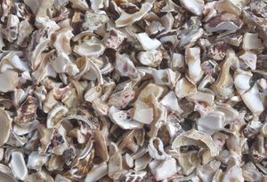 Loads SP Nacre 1 Whitened - Wallcovering by BEAL International