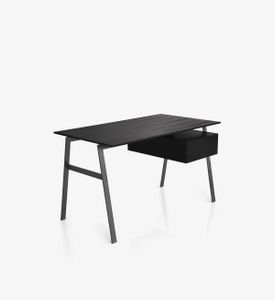Homework Wood Top - Chair by Bensen