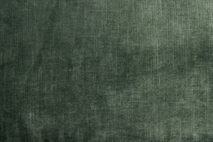 Velours Tsar Avocat - Upholstery fabric by Bérengère Leroy