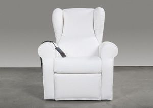 Z Amica Lift Tilt Riser Recliner Amchair - Armchair by BertO