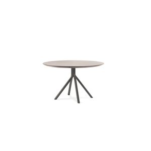 GRAPEVINE 801 - Table with steel frame - Table by Billiani