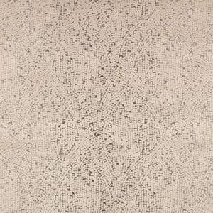Atira Pampas - Curtain by Black Edition