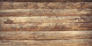 Environmental sustainability – Pegaso wooden garage doors - Accessories by Breda