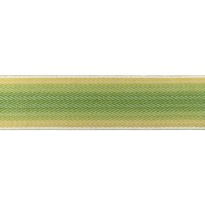 Barfleur Tape - Leaf - Curtain by Brunschwig & Fils