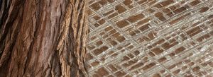 Cortec Walnut Planks with White Gold Powder - Wood flooring by Cadorin Group